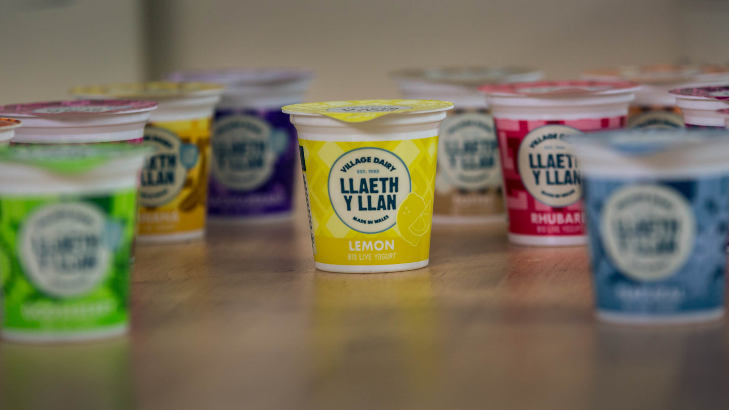 Llaeth y llan Village dairy welsh yoghurt x 12
