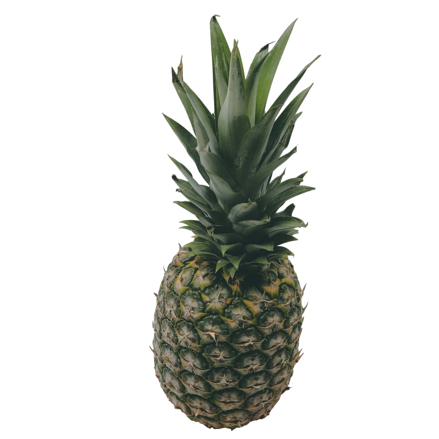 Pineapple Large