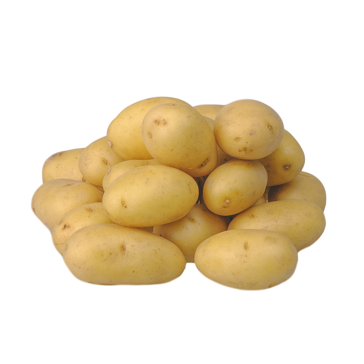 Potato Salad/Baby x 1Kg