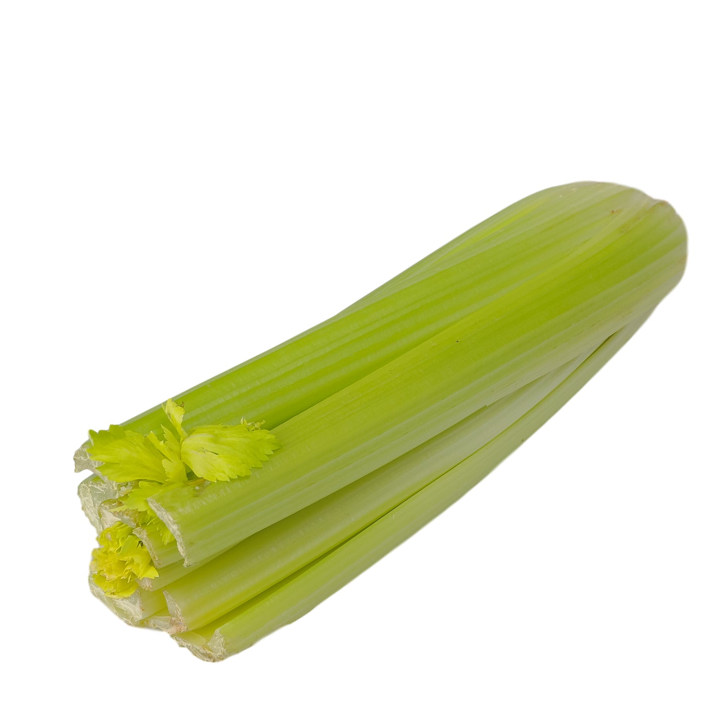 Celery