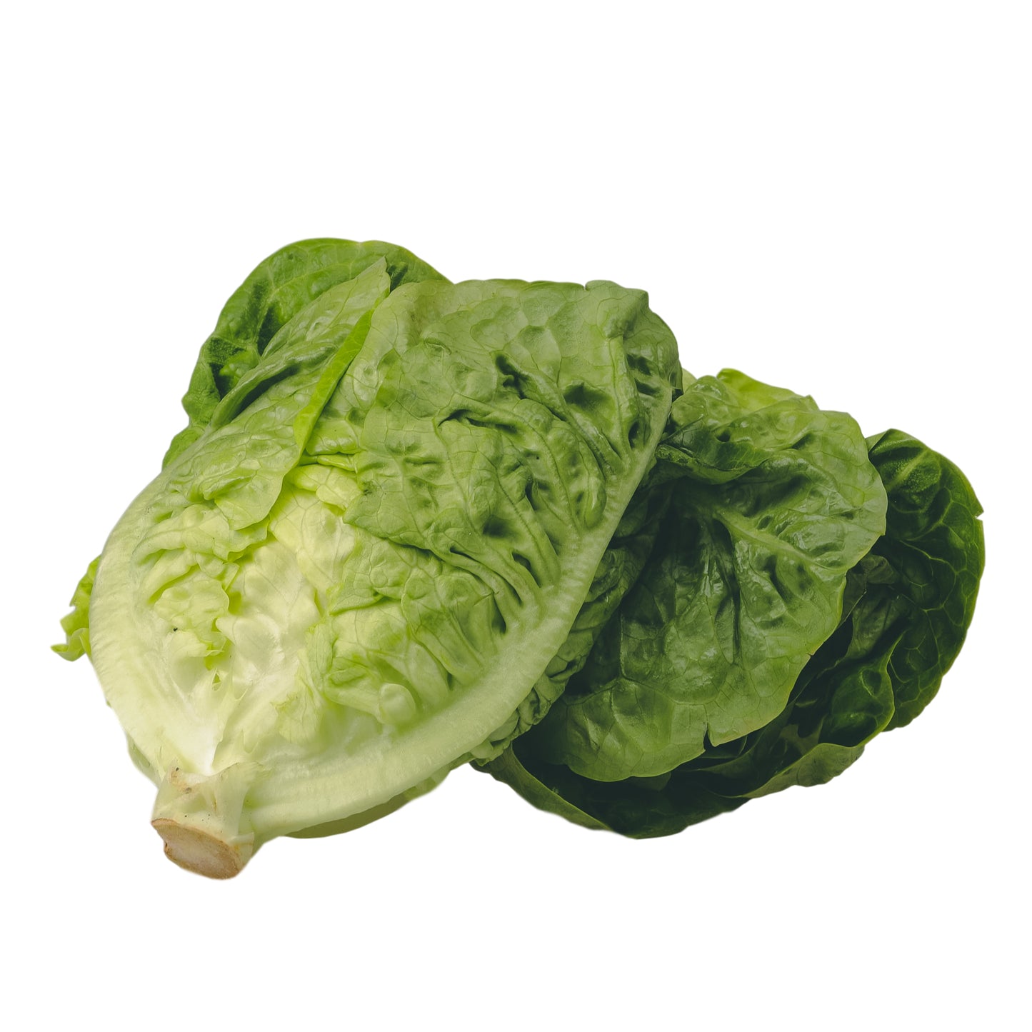 Lettuce Little Gem