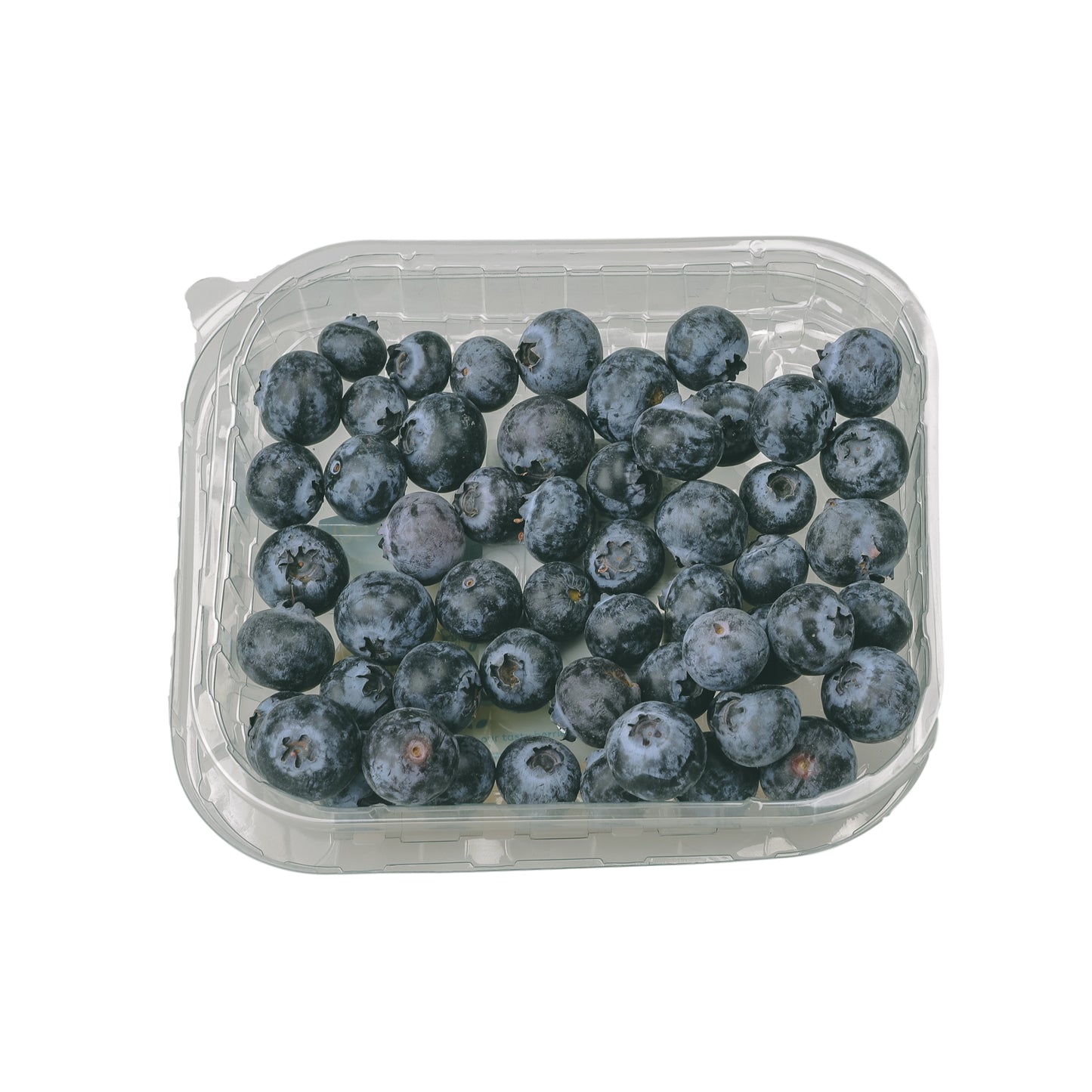 Blueberry Punnet