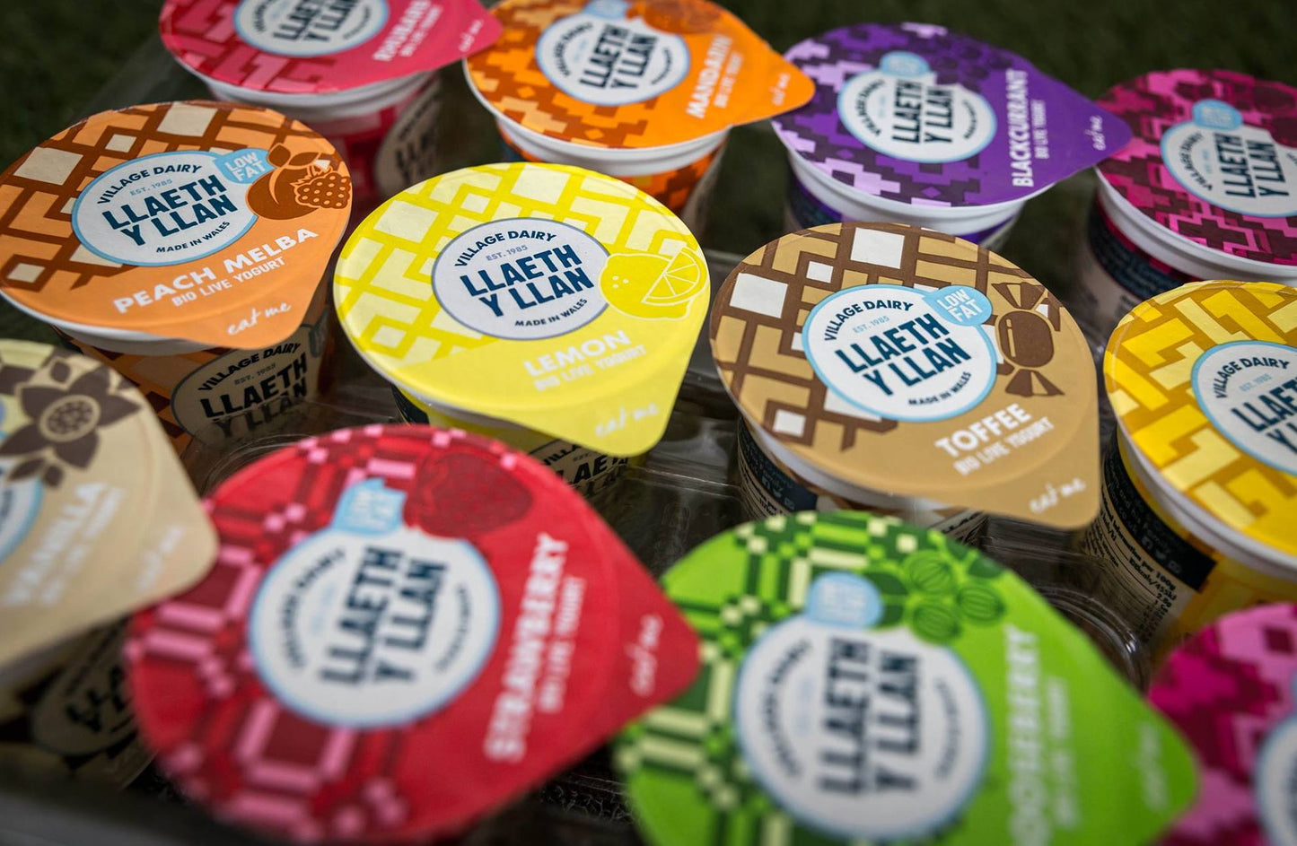 Llaeth y llan Village dairy welsh yoghurt x 12