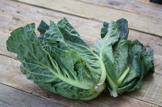 Cabbage Spring Greens