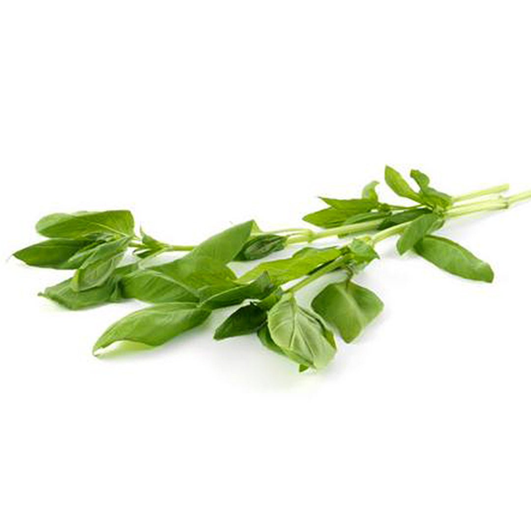 Herb Basil Bag 20g