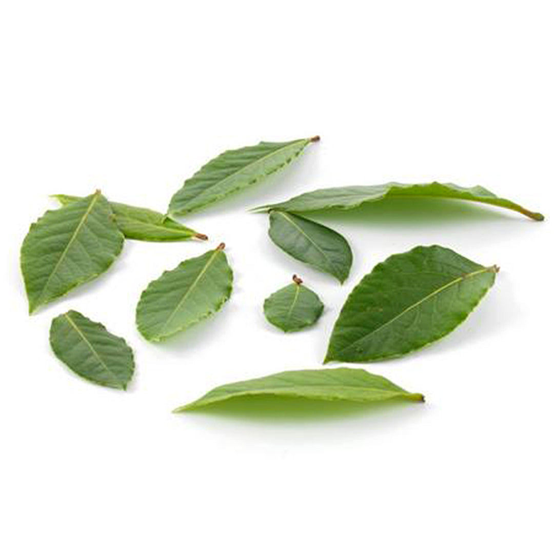 Herb Bayleaf 20g