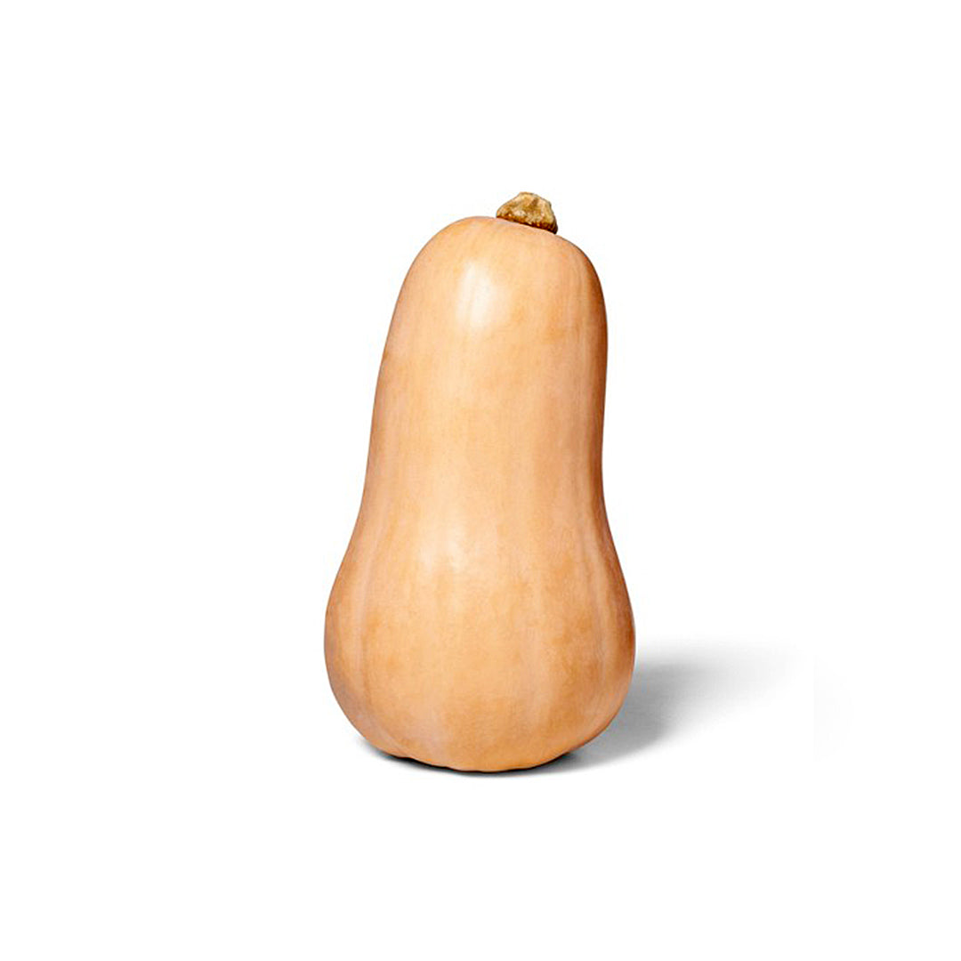 Butternut Squash - Large