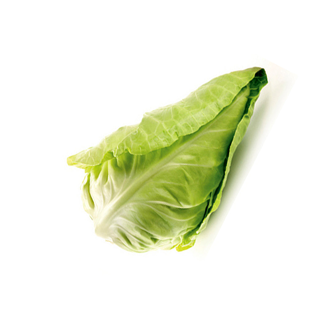 Cabbage Hispi Sweetheart