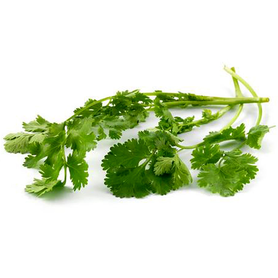 Herb Coriander 20g