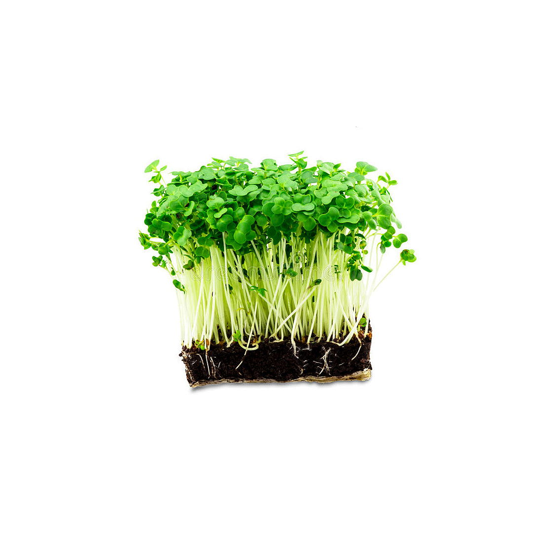 Cress Salad