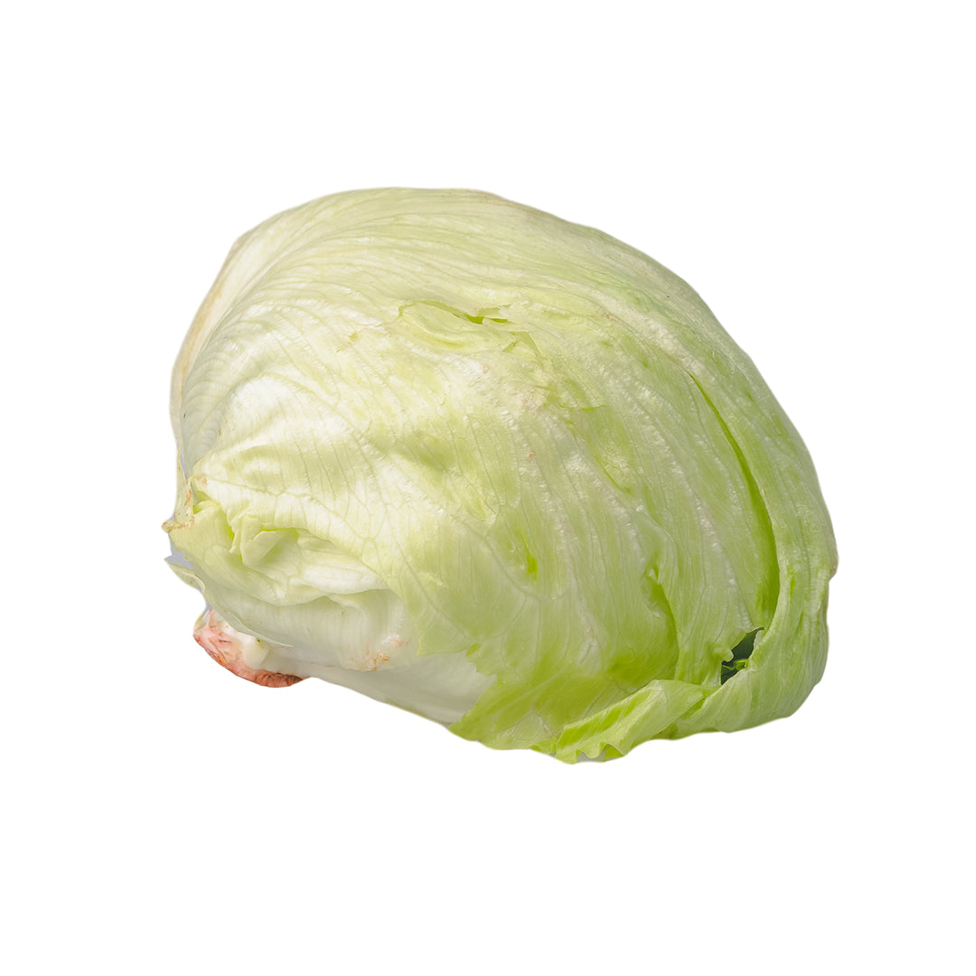 Lettuce Iceberg