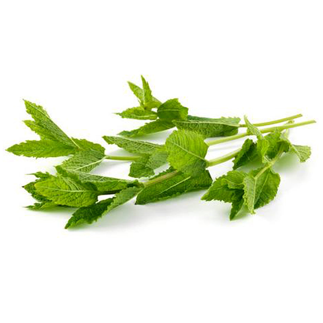 Herb Mint 20g