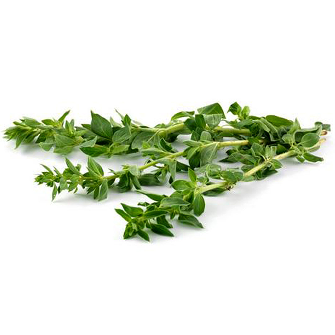 Herb Oregano 20g
