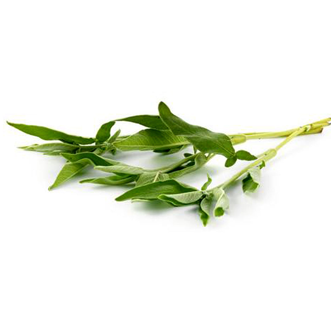Herb Sage 20g