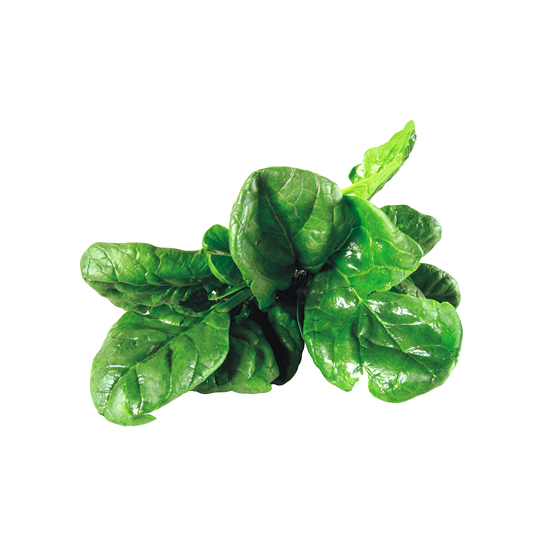Spinach