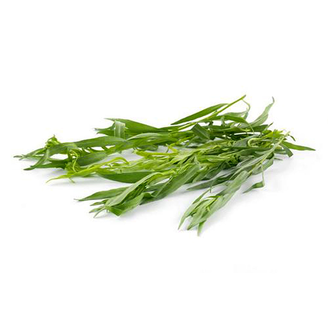 Herb Tarragon 20g