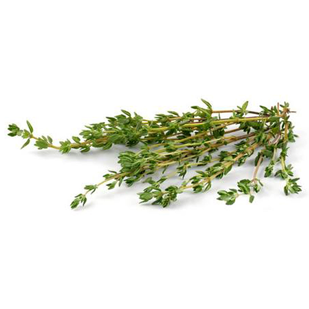 Herb Thyme 20g