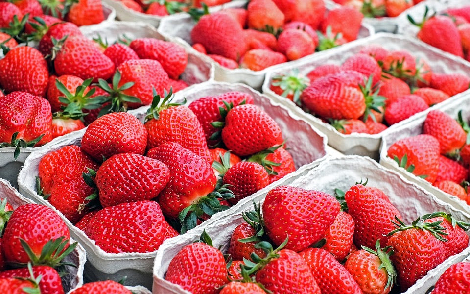 Strawberry Punnet - Premium Quality
