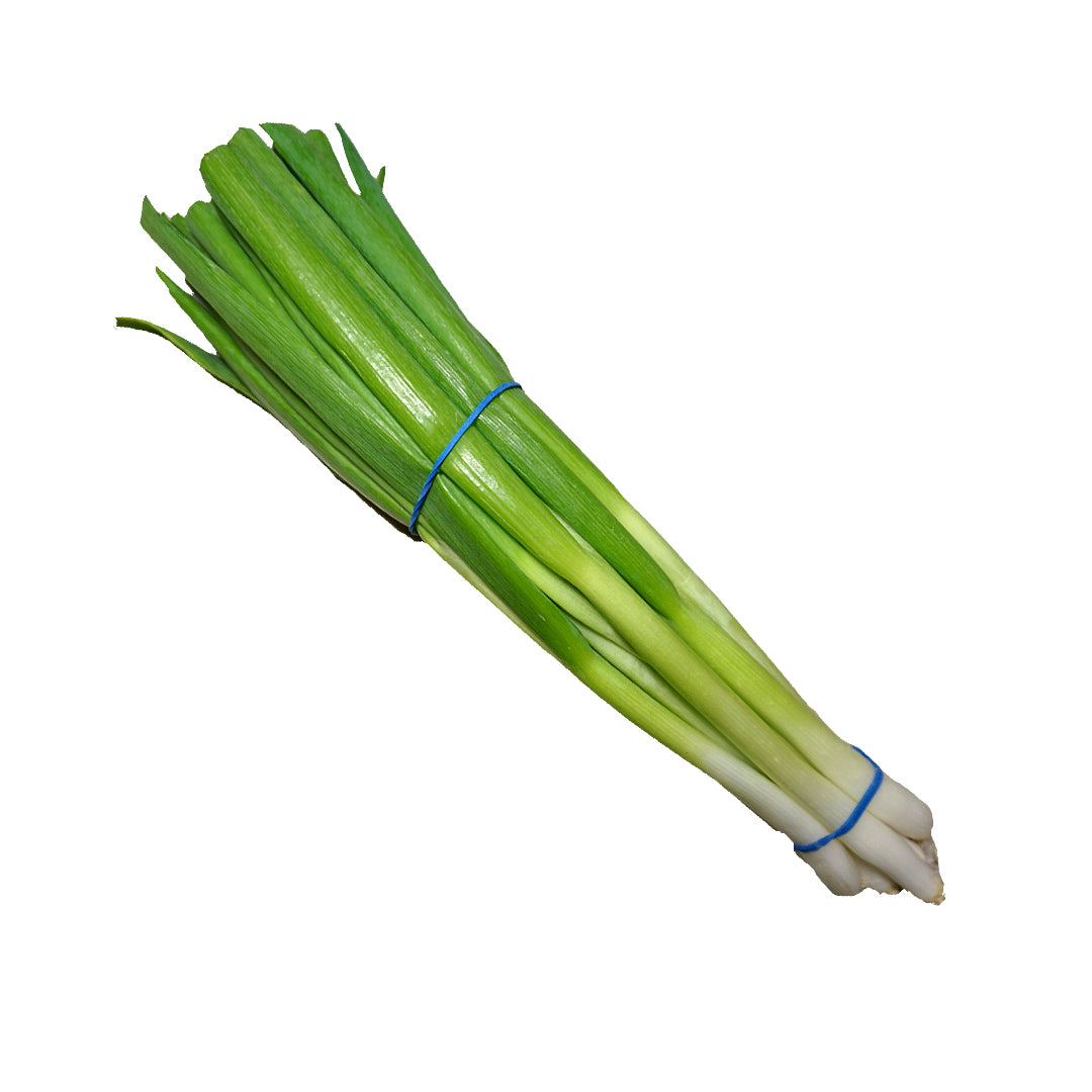 Spring Onion Bunch