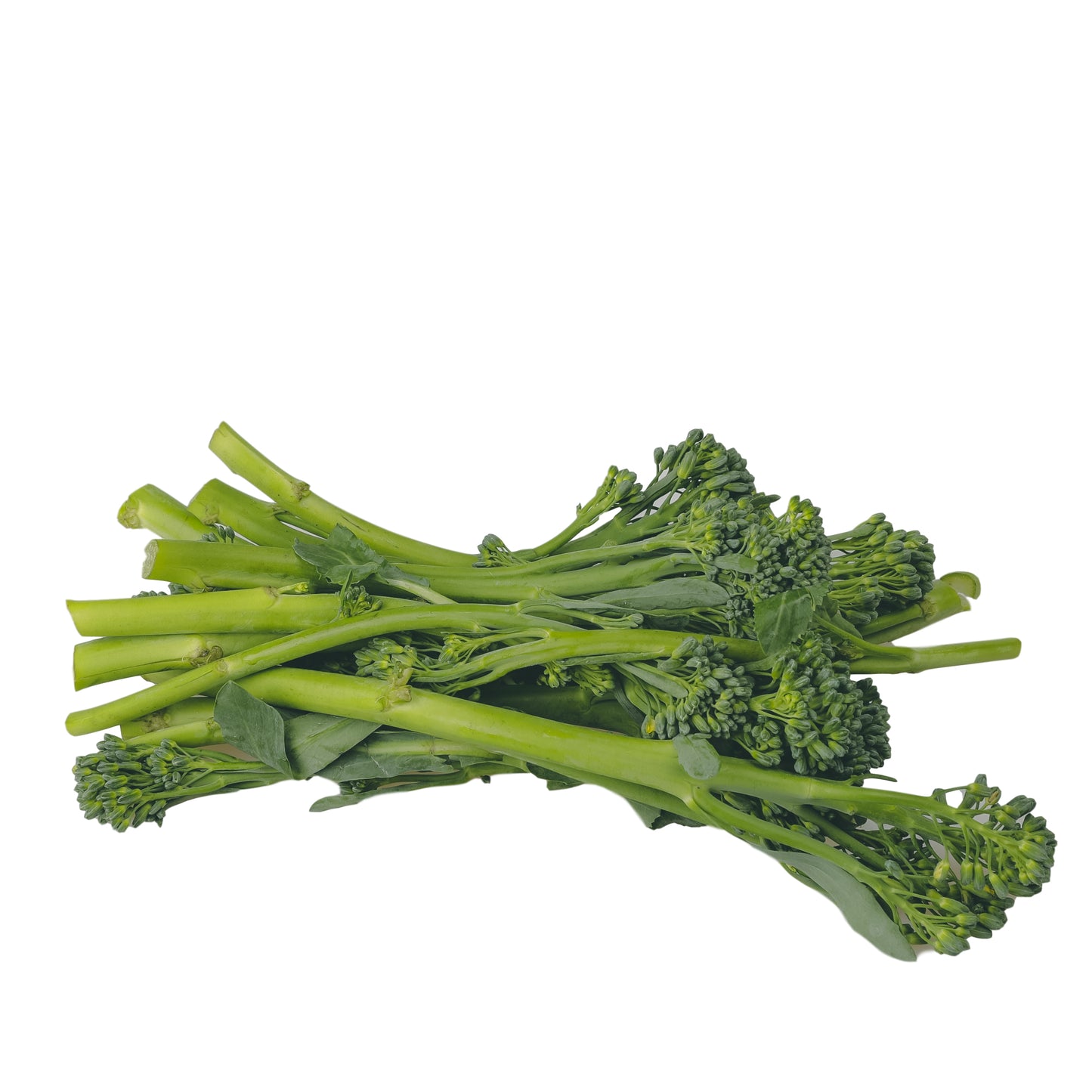 Broccoli Tender Stem