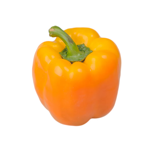 Yellow Pepper Large