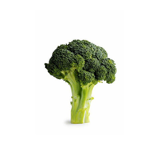 Ormskirk Broccoli Head - Large