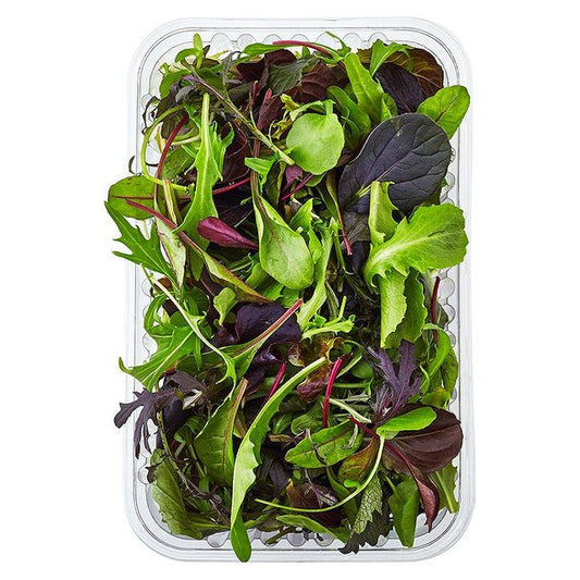 Mixed Baby leaf Salad Punnet