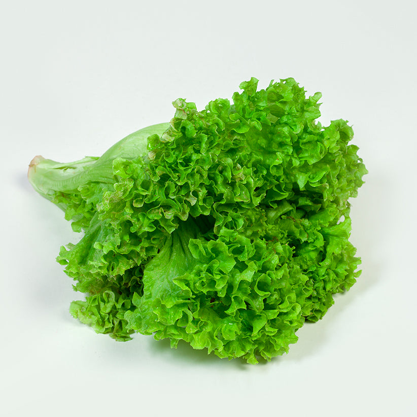Lollo Biondi Salad Leaf